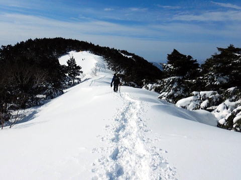 2024.3.23-24 大佐飛山(雪山)
