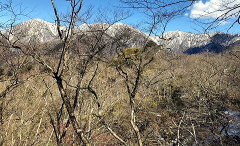 2024.3.10 鍋割山(尾根歩き)