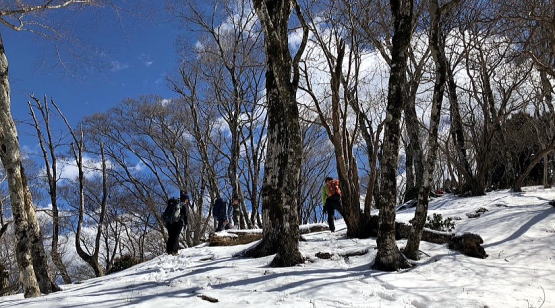 2024.3.10 鍋割山(尾根歩き)