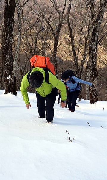 2024.3.10 鍋割山(尾根歩き)