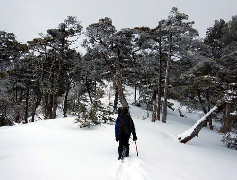2024.3.23-24 大佐飛山(雪山)