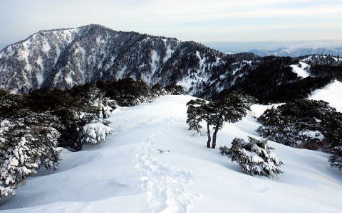 2024.3.23-24 大佐飛山(雪山)