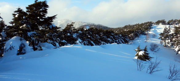 2024.2.10-12 大佐飛山(雪山)