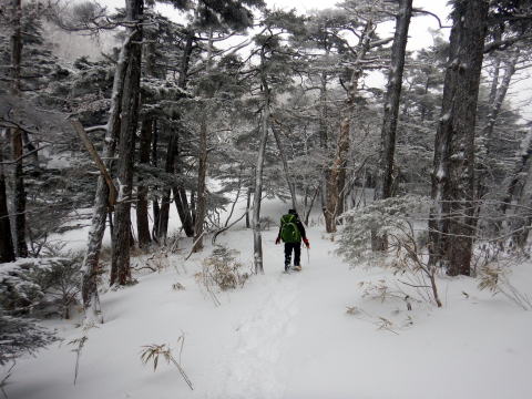 2024.3.23-24 大佐飛山(雪山)