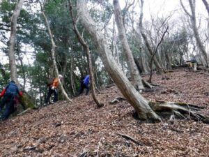 2023.2.12 椿丸•菰釣山(尾根歩き)