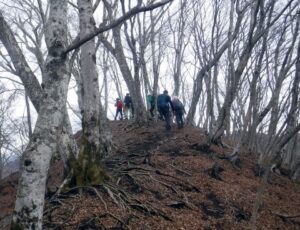2023.2.12 椿丸•菰釣山(尾根歩き)