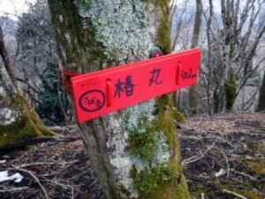 2023.2.12 椿丸•菰釣山(尾根歩き)