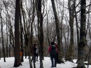 2023.2.12 椿丸•菰釣山(尾根歩き)