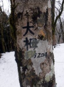 2023.2.12 椿丸•菰釣山(尾根歩き)