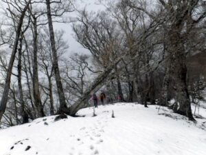 2023.2.12 椿丸•菰釣山(尾根歩き)
