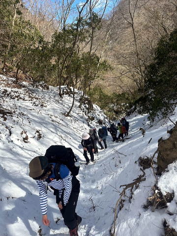 2024.3.10 鍋割山(尾根歩き)