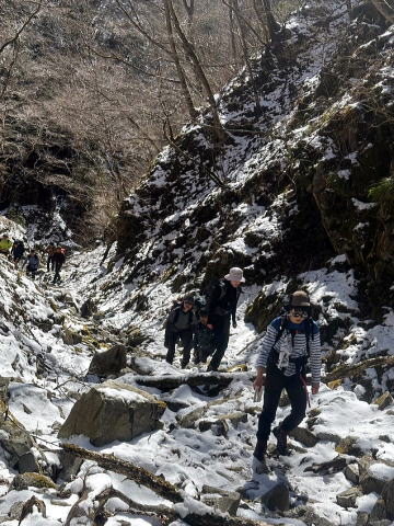 2024.3.10 鍋割山(尾根歩き)
