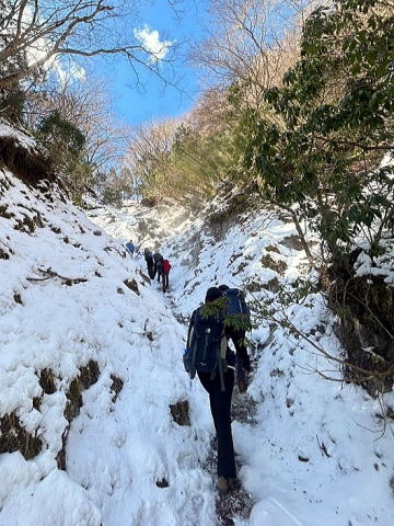 2024.3.10 鍋割山(尾根歩き)
