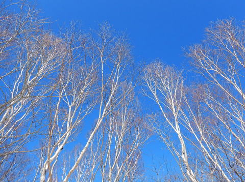 2024.2.10-12 大佐飛山(雪山)