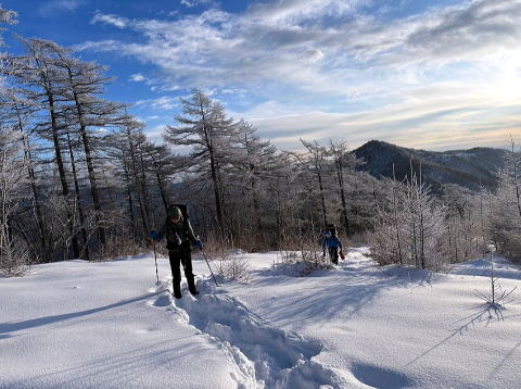 2024.2.11-12 鷹ノ巣山(尾根歩き)