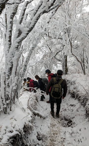 2024.2.24　塔ノ岳（尾根歩き）