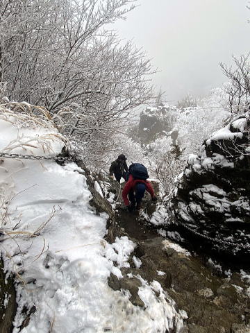 2024.2.24　塔ノ岳（尾根歩き）