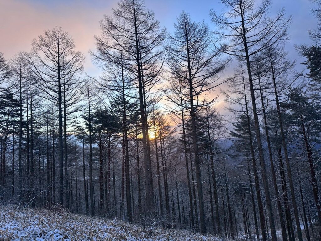 2026.1.25　八ヶ岳・権現岳（三ツ頭まで）（雪山）