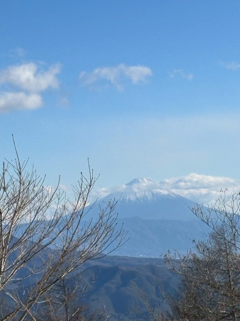 2026.1.25　八ヶ岳・権現岳（三ツ頭まで）（雪山）
