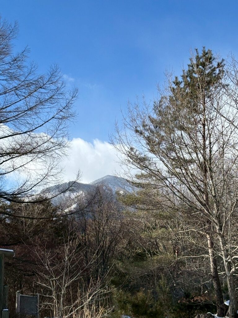 2026.1.25　八ヶ岳・権現岳（三ツ頭まで）（雪山）