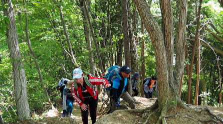 2018.4.30　草戸山・城山（尾根歩き）