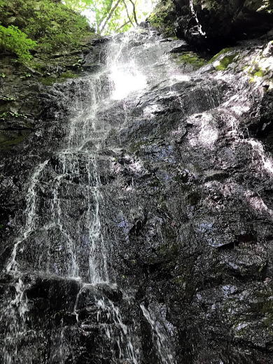 2018.5.27 北秋川白岩沢(沢登り)