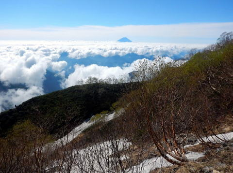 20.6.13-15　白根南嶺（尾根歩き）