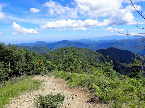 2018.6.30　鷹ノ巣山（尾根歩き）