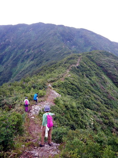 2018.7.15-16　越後・日向山（尾根歩き）