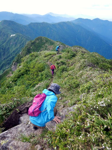 2018.7.15-16　越後・日向山（尾根歩き）