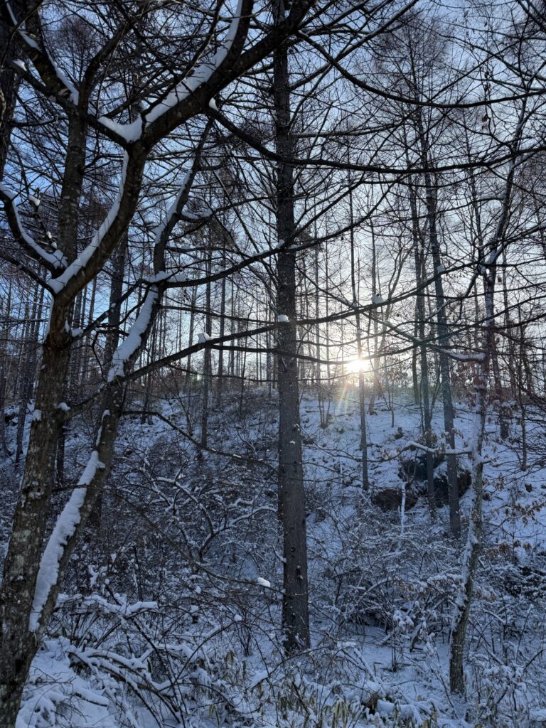 2026.1.25　八ヶ岳・編笠山（雪山）