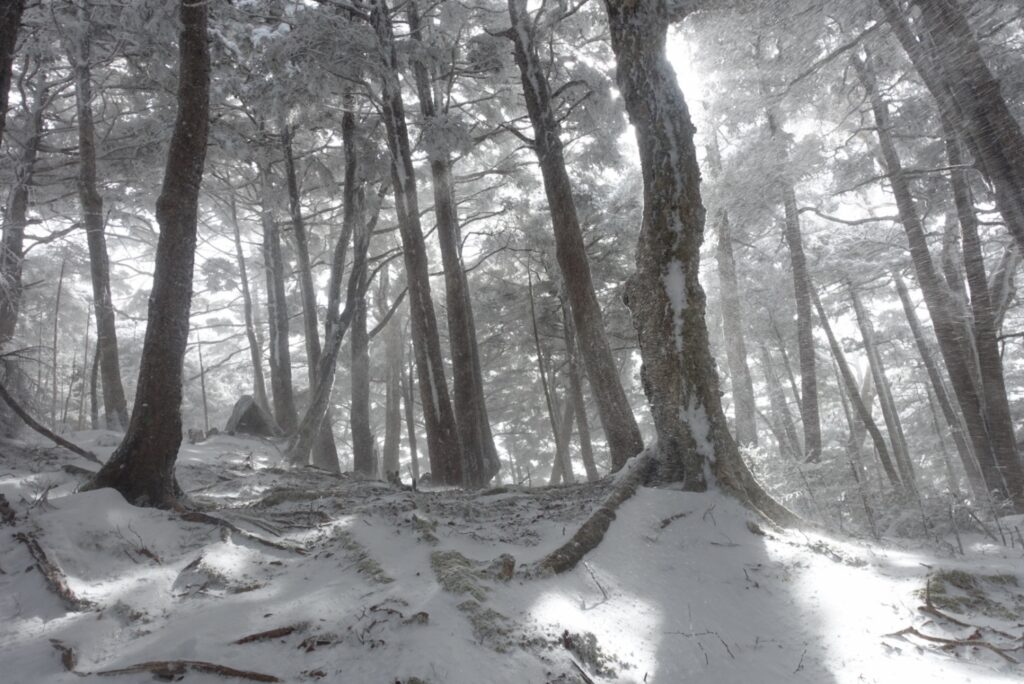 2026.1.25　八ヶ岳・編笠山（雪山）