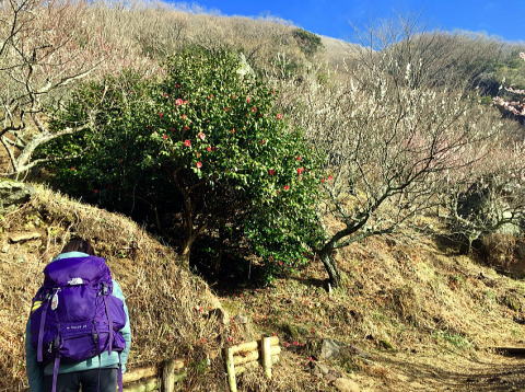 2020.3.1　幕山（岩トレ）