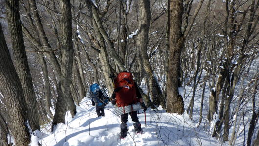 2020.2.29-3.1　奥利根・雨ヶ立山（奥利根橋から尾根を辿る）（雪山）