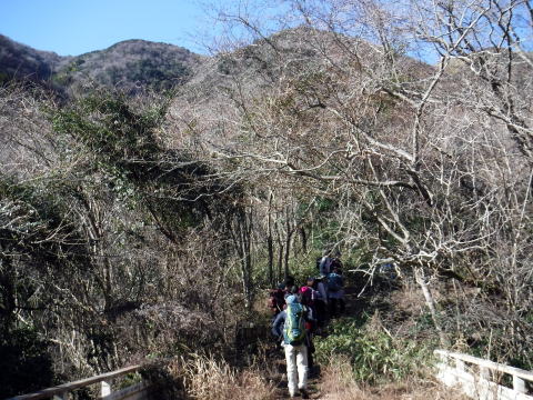 2019.1.5　熱海・新年山行（イベント）