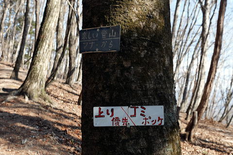 2020.2.8-9　日向山（ハイキング・イベント）