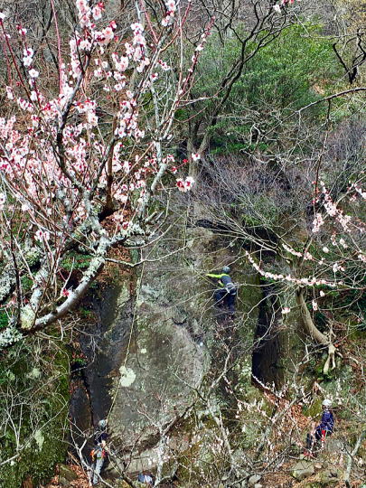 2020.3.1　幕山（岩トレ）