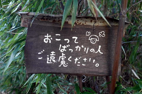 2020.2.8-9　日向山（ハイキング・イベント）