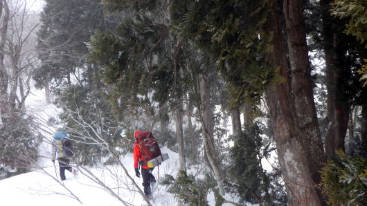2020.2.29-3.1　奥利根・雨ヶ立山（奥利根橋から尾根を辿る）（雪山）
