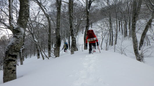 2020.2.29-3.1　奥利根・雨ヶ立山（奥利根橋から尾根を辿る）（雪山）