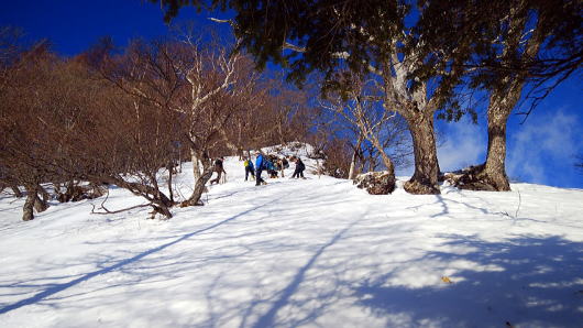 2020.2.23-24　日光・女峰山（雪山）