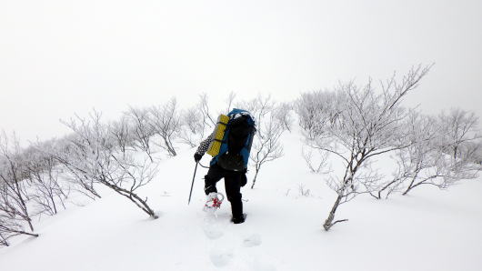 2020.2.29-3.1　奥利根・雨ヶ立山（奥利根橋から尾根を辿る）（雪山）