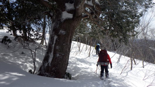 2020.2.29-3.1　奥利根・雨ヶ立山（奥利根橋から尾根を辿る）（雪山）