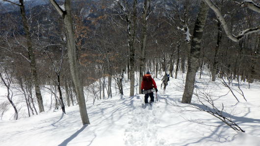 2020.2.29-3.1　奥利根・雨ヶ立山（奥利根橋から尾根を辿る）（雪山）