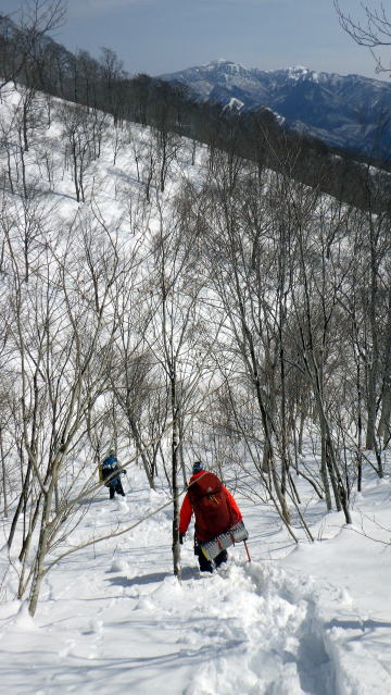 2020.2.29-3.1　奥利根・雨ヶ立山（奥利根橋から尾根を辿る）（雪山）