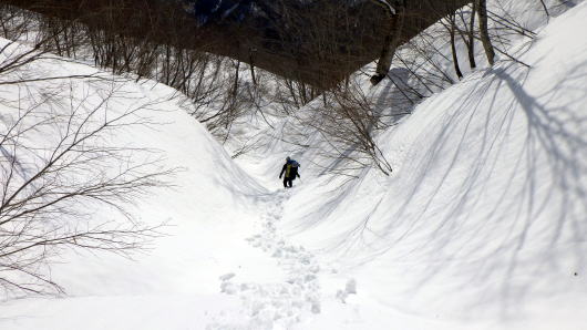 2020.2.29-3.1　奥利根・雨ヶ立山（奥利根橋から尾根を辿る）（雪山）