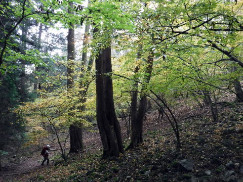 2018.11.4　真名井沢（沢登り）