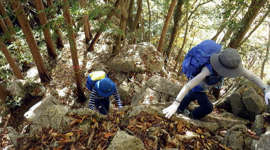 2018.11.10　奥武蔵　武川岳・二子山（尾根歩き）