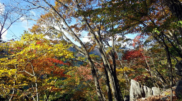 2018.11.10　奥武蔵　武川岳・二子山（尾根歩き）