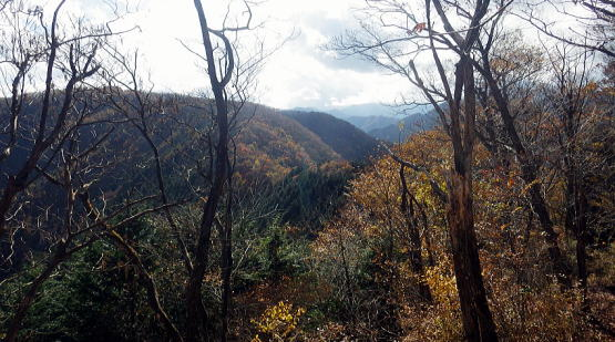 2018.11.10　奥武蔵　武川岳・二子山（尾根歩き）